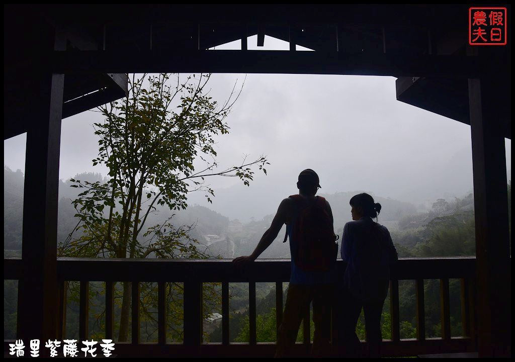 【嘉義景點】瑞里紫藤花季．紫色浪漫幸福藤雲/阿喜紫藤/綠色隧道/蕙茗園/長青居茶鄉民宿/免門票免費參觀/一日遊 @假日農夫愛趴趴照