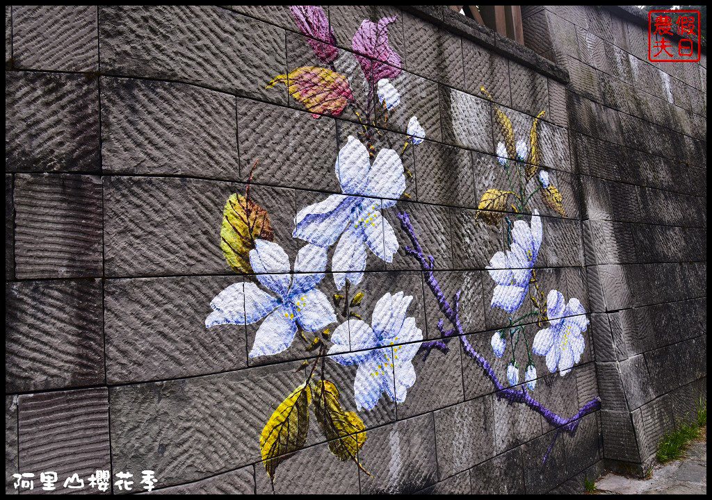 【嘉義旅遊】嘉義賞花二日遊．住里亞環島行旅輕鬆上阿里山賞櫻花/瑞里紫滕花季/黃花風鈴木/苦戀花隧道 @假日農夫愛趴趴照