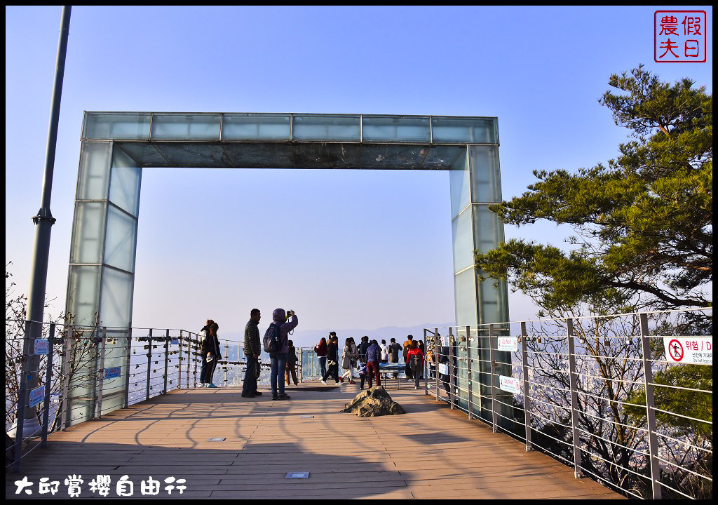 【韓國旅遊】大邱親子賞櫻自由行．第一次韓國自助旅行就上手/行程規劃/T-money卡/烤腸一條街/E-World樂園優惠券 @假日農夫愛趴趴照