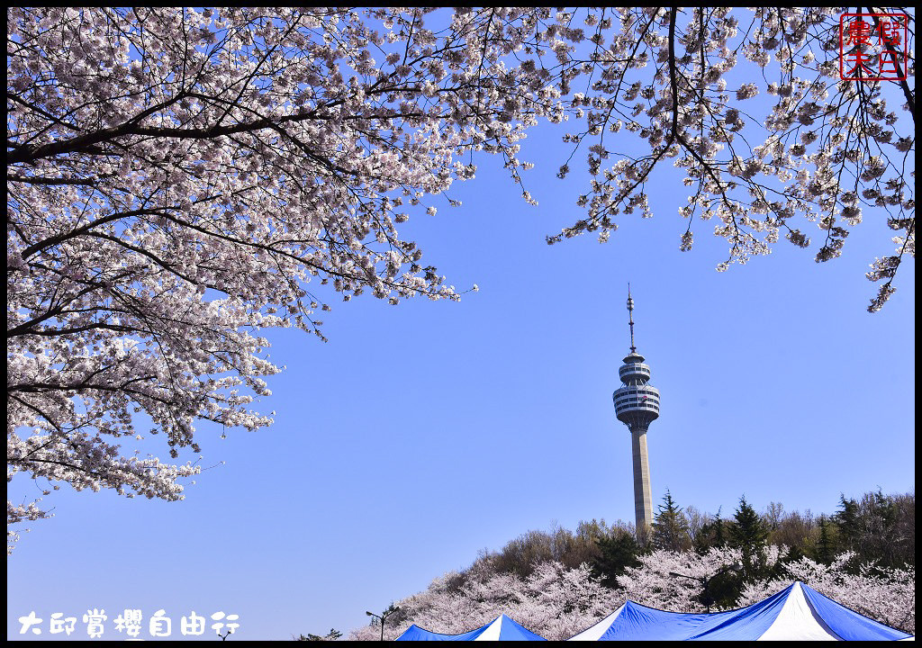 【韓國旅遊】大邱親子賞櫻自由行．第一次韓國自助旅行就上手/行程規劃/T-money卡/烤腸一條街/E-World樂園優惠券 @假日農夫愛趴趴照