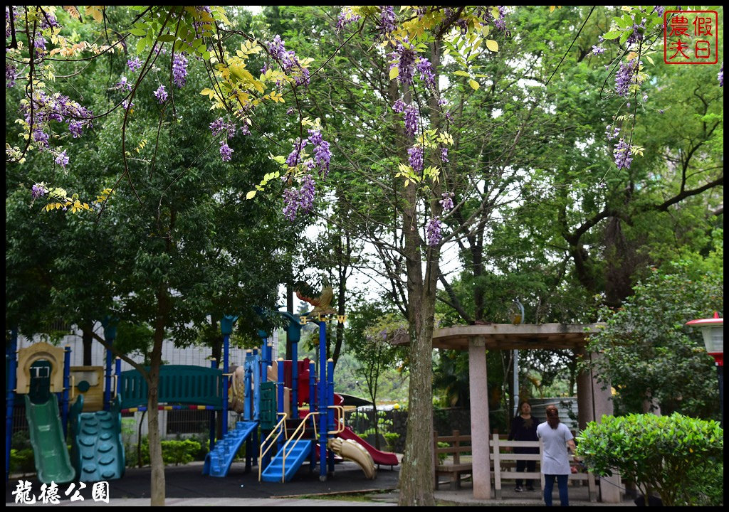 桃園景點|中壢元生公園龍德公園紫藤花開．賞花秘境大公開 @假日農夫愛趴趴照