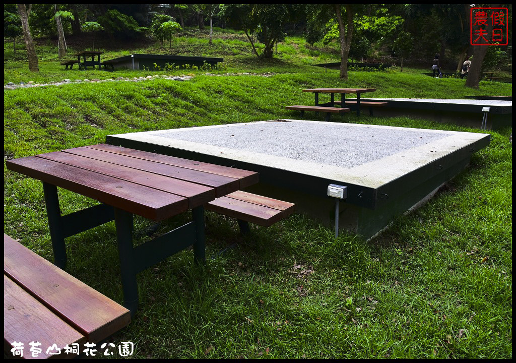 雲林景點|古坑荷苞山桐花公園．雲林客家桐花祭-「浪漫桐雨遊客庄」/一日遊/賞花情報 @假日農夫愛趴趴照