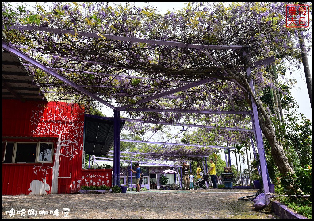 苗栗景點|西湖噢哈娜咖啡屋．賞紫藤秘境/幸福步道/3D彩繪/咖啡廳/一日遊 @假日農夫愛趴趴照