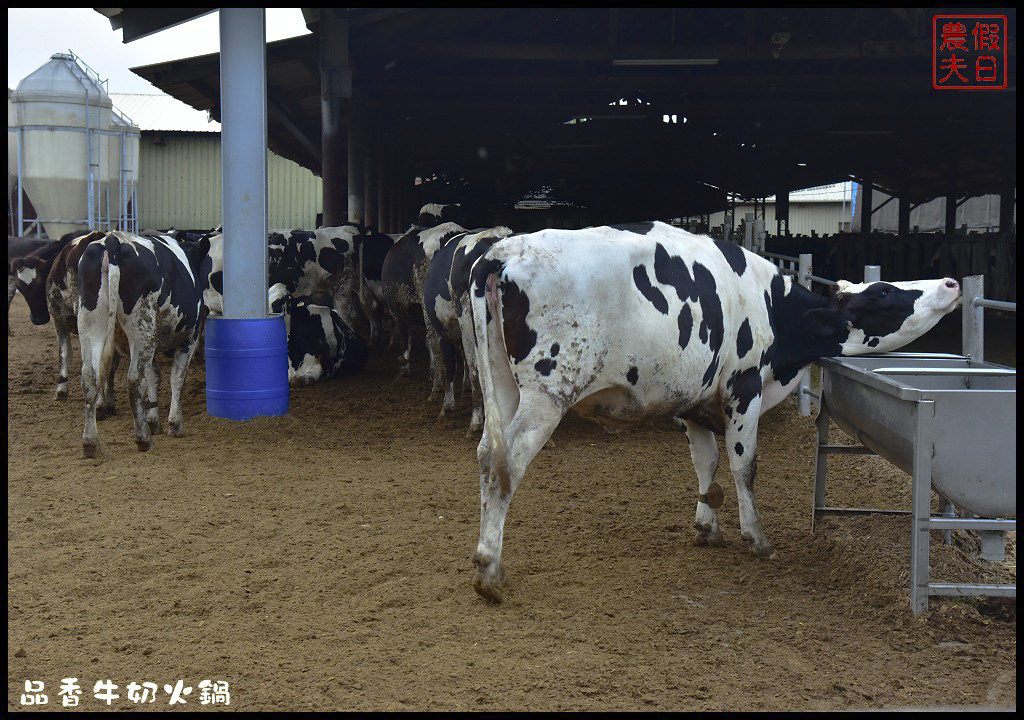 彰化美食 | 品香牛奶火鍋城．牧場直送鮮奶火鍋超香濃/銀行山景觀餐廳/八卦山夜景 @假日農夫愛趴趴照