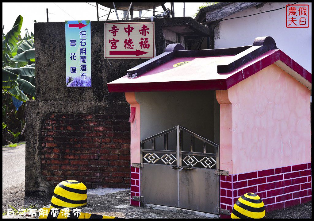 台南白河赤中寺|萬朵石斛蘭瀑布傾瀉而下超級美超級壯觀/賞花秘境/一日遊/交通路徑/停車 @假日農夫愛趴趴照