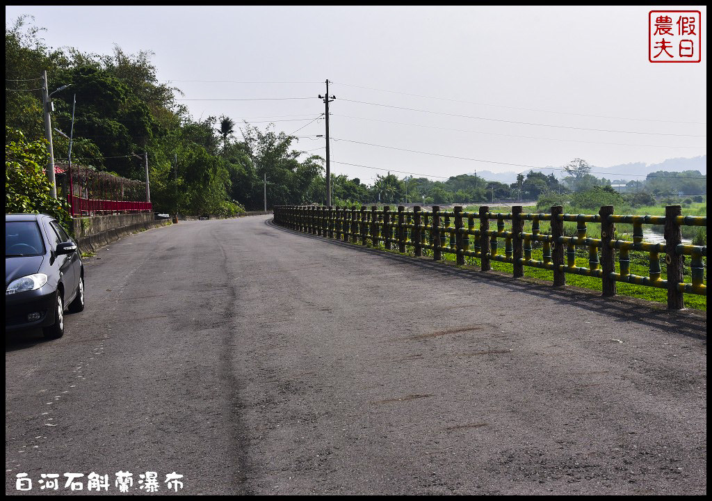 台南白河赤中寺|萬朵石斛蘭瀑布傾瀉而下超級美超級壯觀/賞花秘境/一日遊/交通路徑/停車 @假日農夫愛趴趴照