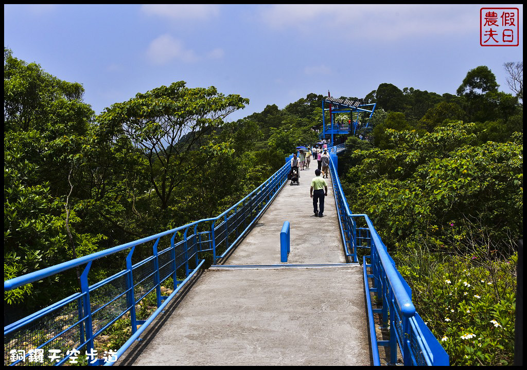 苗栗景點|銅鑼天空步道．全台最高的自行車道/親民賞桐景點/客家桐花祭/免費參觀/一日遊 @假日農夫愛趴趴照