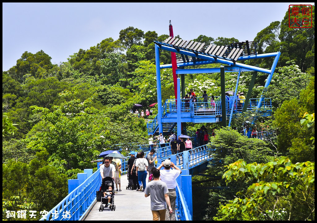 苗栗景點|銅鑼天空步道．全台最高的自行車道/親民賞桐景點/客家桐花祭/免費參觀/一日遊 @假日農夫愛趴趴照