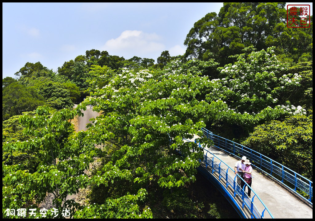 苗栗景點|銅鑼天空步道．全台最高的自行車道/親民賞桐景點/客家桐花祭/免費參觀/一日遊 @假日農夫愛趴趴照