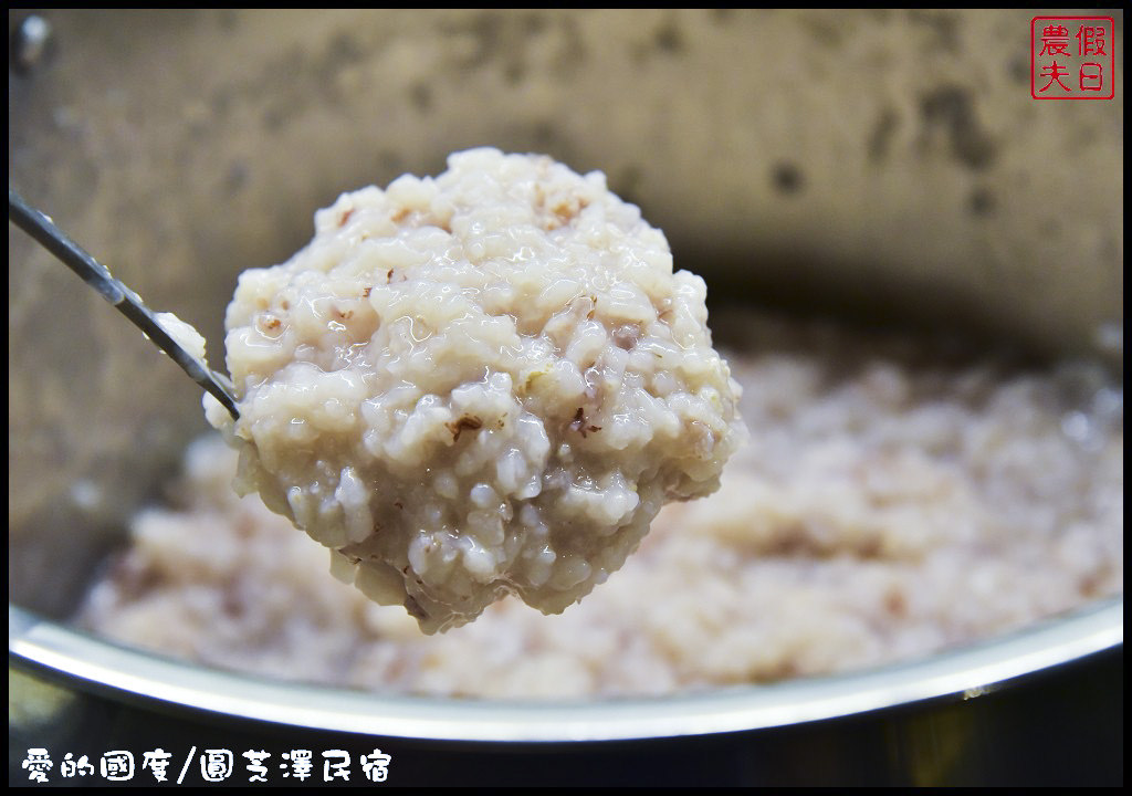 花蓮住宿|愛的國度/圓芝澤民宿．溫馨親切熱情的住宿好選擇/吉安慶修院/鯉魚潭/親子房/溜滑梯 @假日農夫愛趴趴照