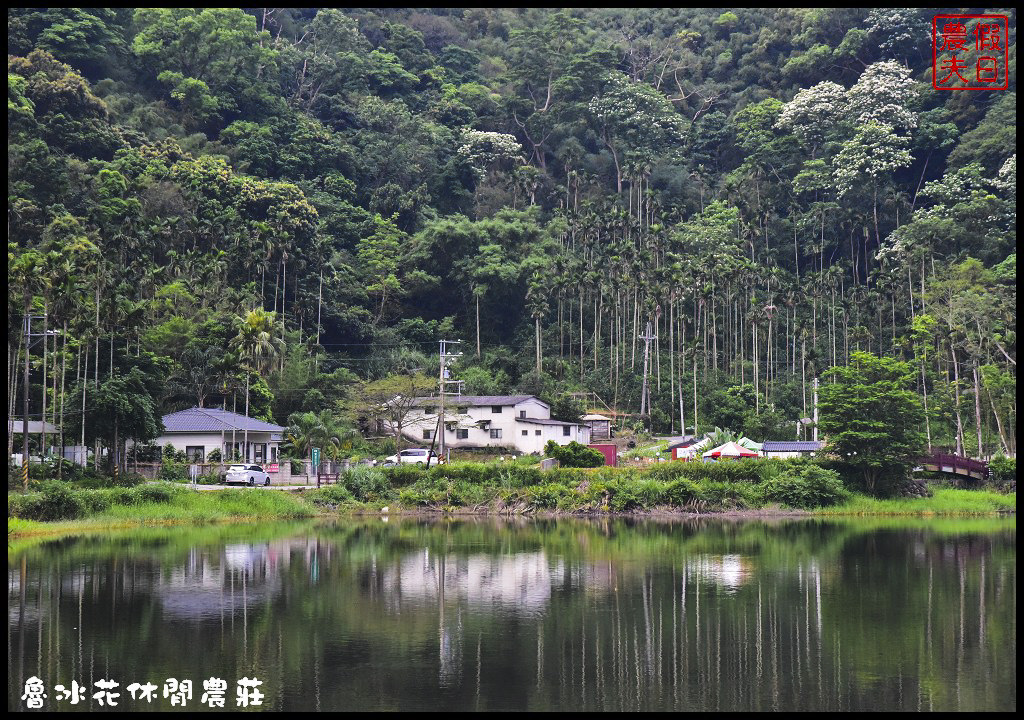 苗栗頭屋|魯冰花休閒農莊．明德水庫旁用餐休閒露營的好選擇/螢火蟲(邀約) @假日農夫愛趴趴照