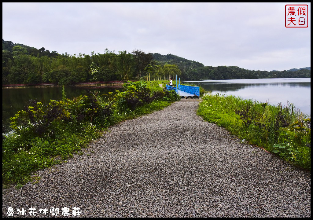 苗栗頭屋|魯冰花休閒農莊．明德水庫旁用餐休閒露營的好選擇/螢火蟲(邀約) @假日農夫愛趴趴照