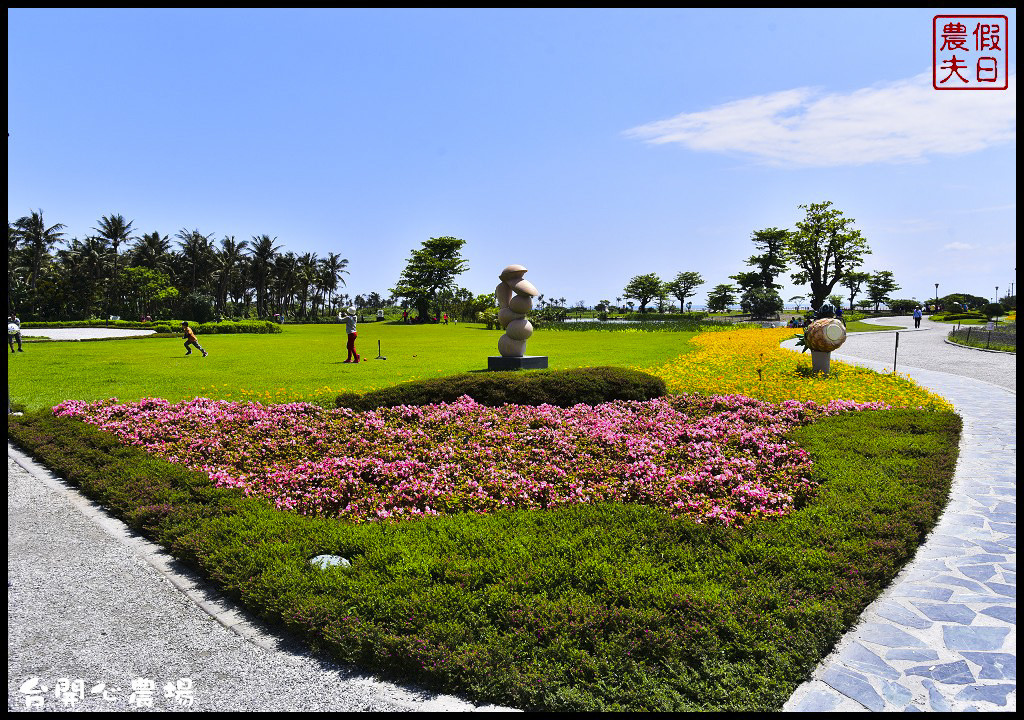 花蓮吉安 | 洄瀾灣開心農場〈台開心農場〉．寬闊的草原、漂亮的花兒、可愛的動物、美麗的生態池免費參觀/一日遊/日出/雲山水/水中央 @假日農夫愛趴趴照