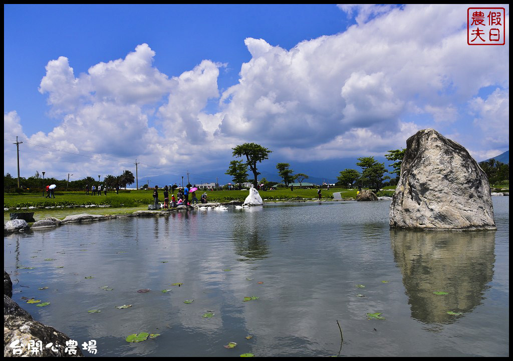 花蓮吉安 | 洄瀾灣開心農場〈台開心農場〉．寬闊的草原、漂亮的花兒、可愛的動物、美麗的生態池免費參觀/一日遊/日出/雲山水/水中央 @假日農夫愛趴趴照