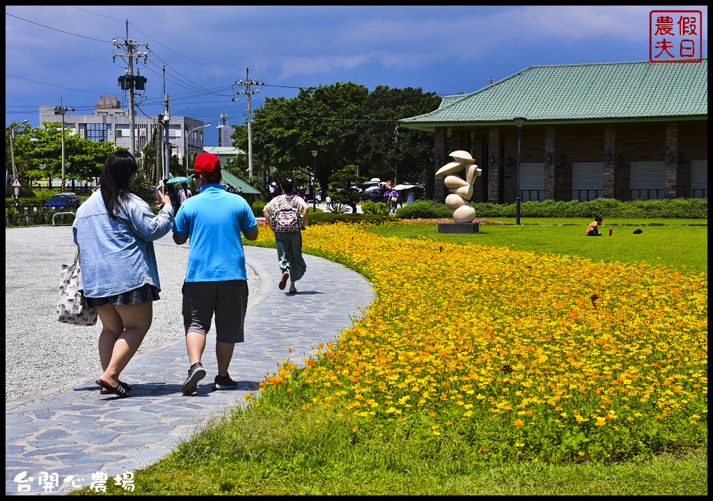 花蓮吉安 | 洄瀾灣開心農場〈台開心農場〉．寬闊的草原、漂亮的花兒、可愛的動物、美麗的生態池免費參觀/一日遊/日出/雲山水/水中央 @假日農夫愛趴趴照