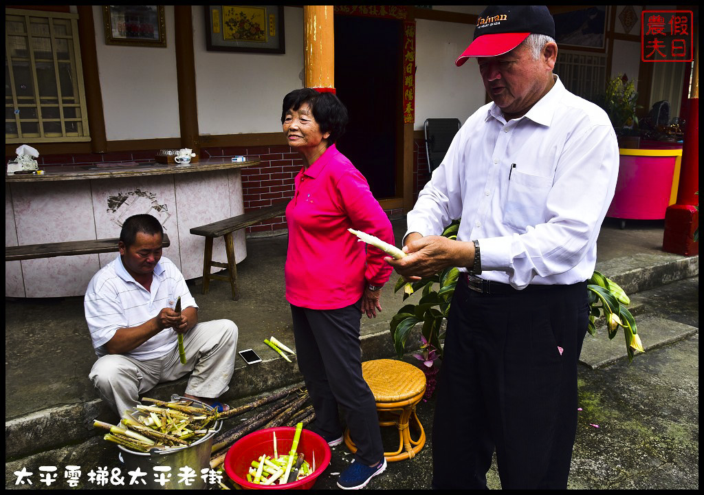 嘉義新景點|梅山新亮點太平雲梯．全台最長最高景觀梯子吊橋/太平老街漫遊/遊客中心/一日遊 @假日農夫愛趴趴照