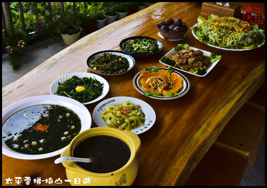 嘉義景點|全台最長景觀梯子吊橋太平雲梯．梅山一日輕旅行/華姐野菜舖子/草本傳奇/琥珀社咖啡莊園/一日遊 @假日農夫愛趴趴照