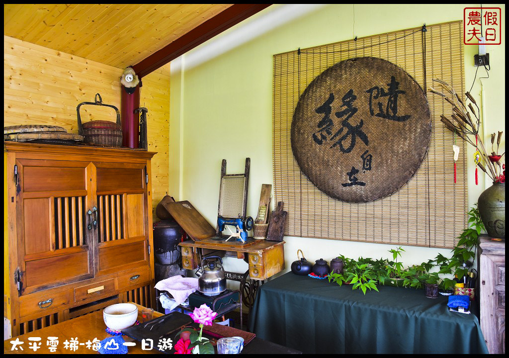 嘉義景點|全台最長景觀梯子吊橋太平雲梯．梅山一日輕旅行/華姐野菜舖子/草本傳奇/琥珀社咖啡莊園/一日遊 @假日農夫愛趴趴照