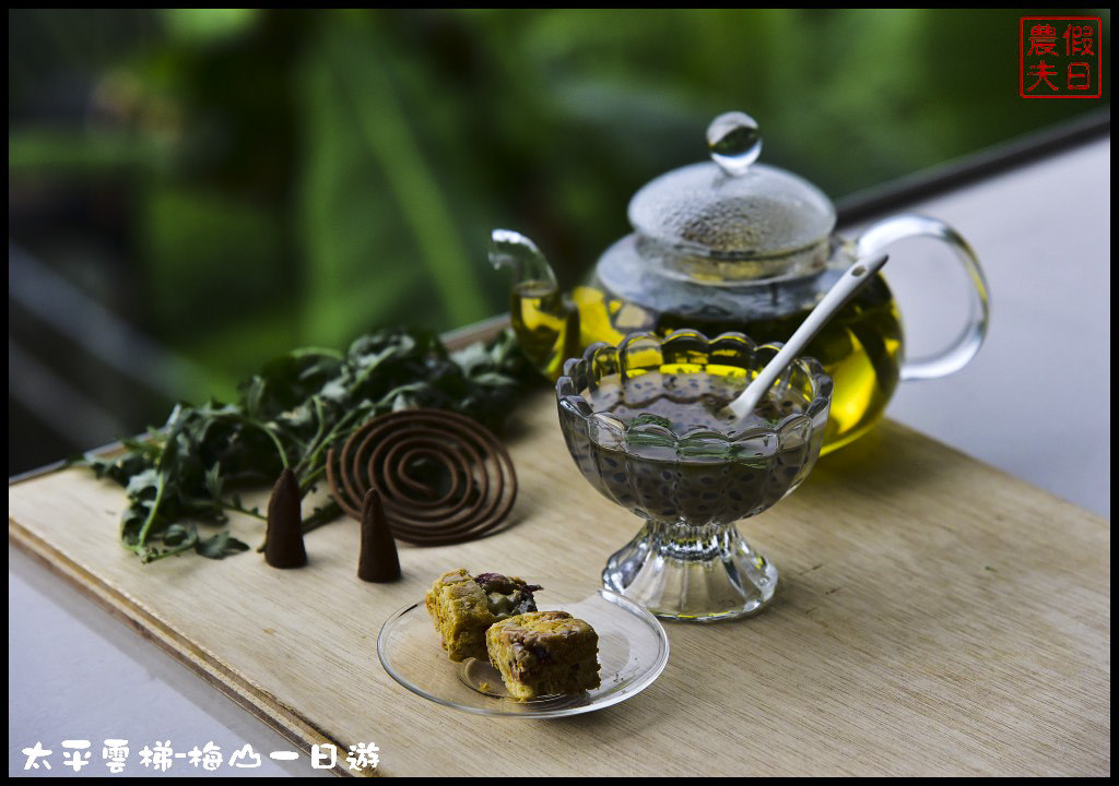 嘉義景點|全台最長景觀梯子吊橋太平雲梯．梅山一日輕旅行/華姐野菜舖子/草本傳奇/琥珀社咖啡莊園/一日遊 @假日農夫愛趴趴照