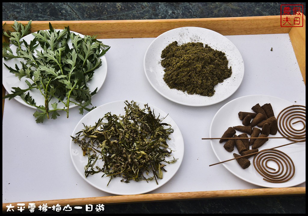 嘉義景點|全台最長景觀梯子吊橋太平雲梯．梅山一日輕旅行/華姐野菜舖子/草本傳奇/琥珀社咖啡莊園/一日遊 @假日農夫愛趴趴照