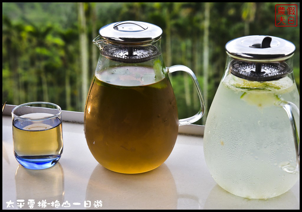 嘉義景點|全台最長景觀梯子吊橋太平雲梯．梅山一日輕旅行/華姐野菜舖子/草本傳奇/琥珀社咖啡莊園/一日遊 @假日農夫愛趴趴照