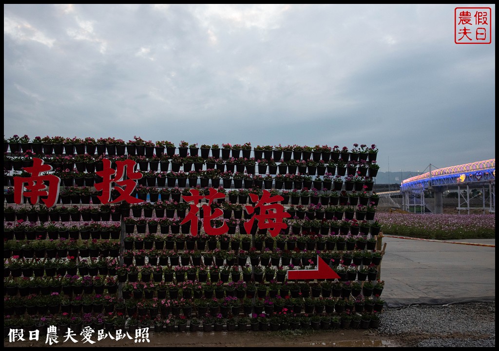 南投旅遊|2019南投燈會主燈「福嘟嘟、發大財」．日遊沙雕花海夜賞燈會水舞秀/免費參觀/小提燈領取資訊/停車規劃 @假日農夫愛趴趴照