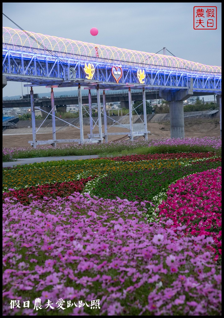 南投旅遊|2019南投燈會主燈「福嘟嘟、發大財」．日遊沙雕花海夜賞燈會水舞秀/免費參觀/小提燈領取資訊/停車規劃 @假日農夫愛趴趴照