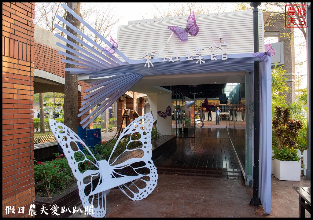 雲林旅遊|古坑休息站幸福花園廣場西洋棋廣場區水舞廣場好好拍/黃花風鈴木 @假日農夫愛趴趴照