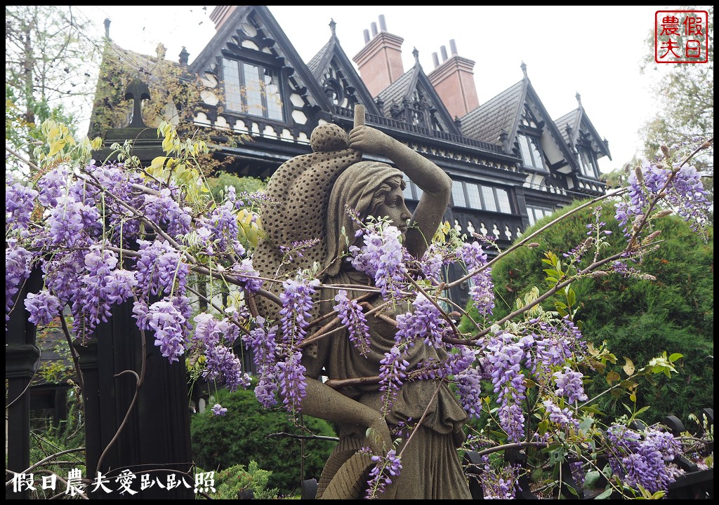 南投旅遊|清境五大賞紫藤花景點．瑪格麗特紫屋餐廳×霞飛音樂城堡×老英格蘭莊園×小瑞士花園×香格里拉空中花園 @假日農夫愛趴趴照