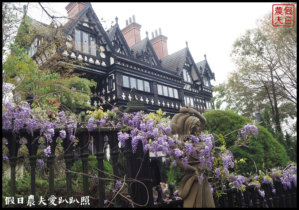 南投旅遊|清境五大賞紫藤花景點．瑪格麗特紫屋餐廳×霞飛音樂城堡×老英格蘭莊園×小瑞士花園×香格里拉空中花園 @假日農夫愛趴趴照