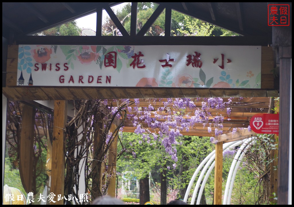 南投旅遊|清境五大賞紫藤花景點．瑪格麗特紫屋餐廳×霞飛音樂城堡×老英格蘭莊園×小瑞士花園×香格里拉空中花園 @假日農夫愛趴趴照