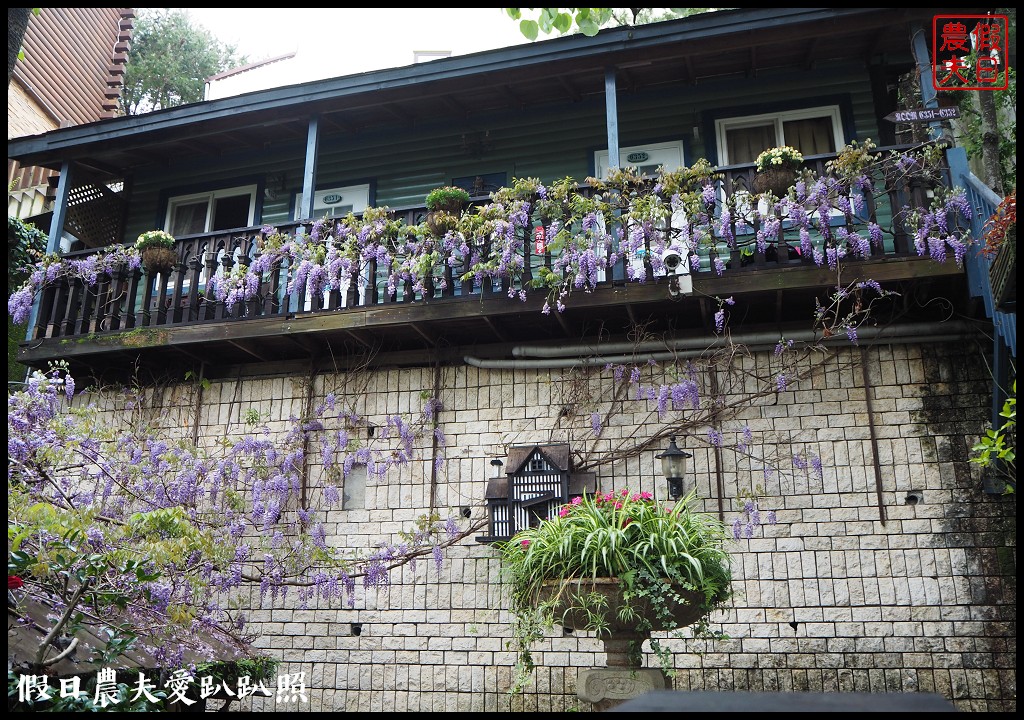 南投旅遊|清境五大賞紫藤花景點．瑪格麗特紫屋餐廳×霞飛音樂城堡×老英格蘭莊園×小瑞士花園×香格里拉空中花園 @假日農夫愛趴趴照