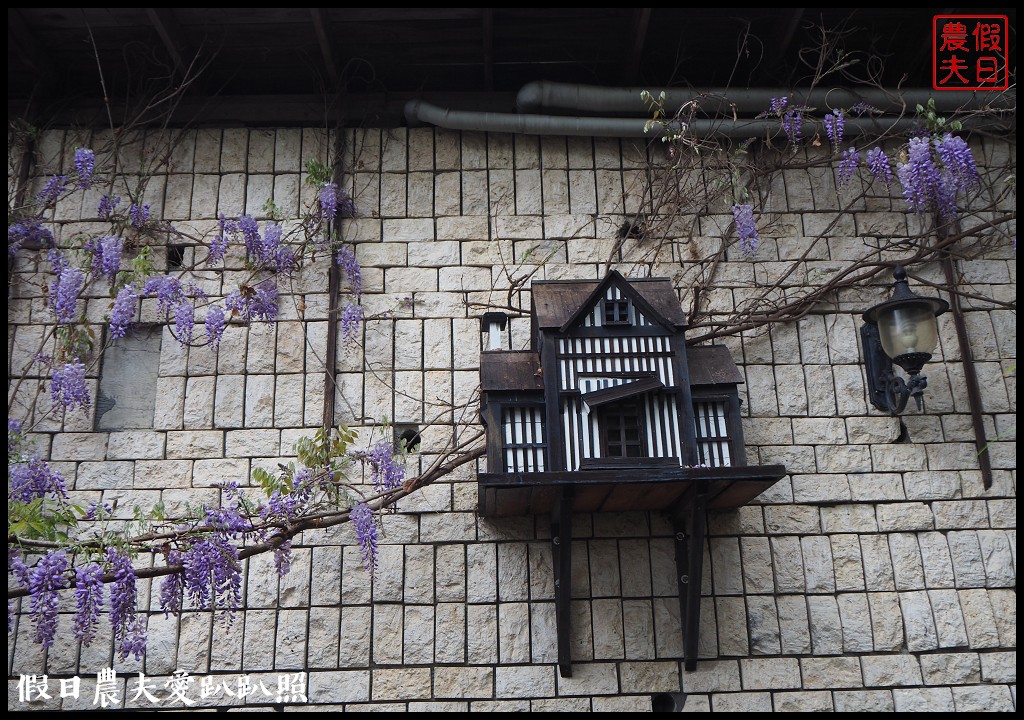 南投旅遊|清境五大賞紫藤花景點．瑪格麗特紫屋餐廳×霞飛音樂城堡×老英格蘭莊園×小瑞士花園×香格里拉空中花園 @假日農夫愛趴趴照