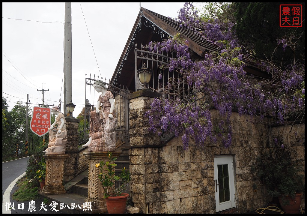 南投旅遊|清境五大賞紫藤花景點．瑪格麗特紫屋餐廳×霞飛音樂城堡×老英格蘭莊園×小瑞士花園×香格里拉空中花園 @假日農夫愛趴趴照