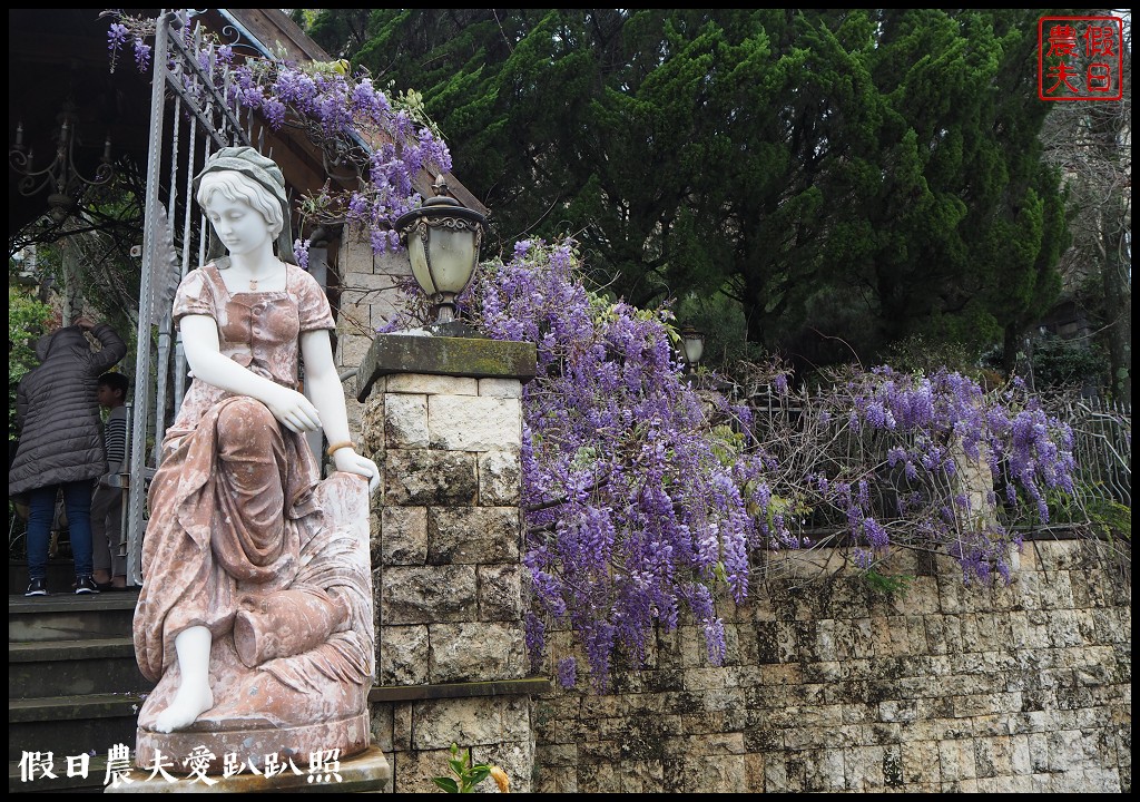 南投旅遊|清境五大賞紫藤花景點．瑪格麗特紫屋餐廳×霞飛音樂城堡×老英格蘭莊園×小瑞士花園×香格里拉空中花園 @假日農夫愛趴趴照