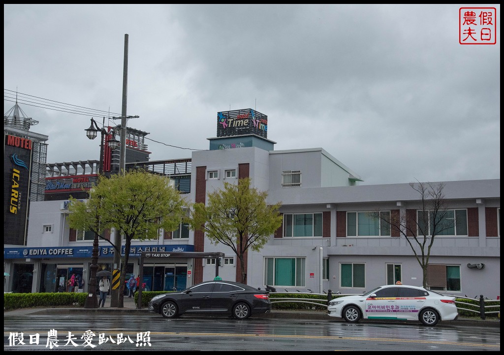 韓國自由行|釜山海雲台到慶州賞櫻一日遊/草葉集(풀잎채)韓式料理吃到飽/行程安排 @假日農夫愛趴趴照