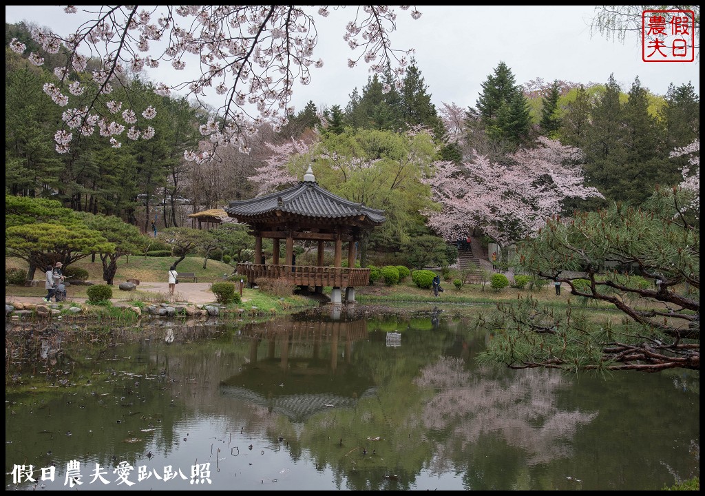 韓國自由行|釜山海雲台到慶州賞櫻一日遊/草葉集(풀잎채)韓式料理吃到飽/行程安排 @假日農夫愛趴趴照