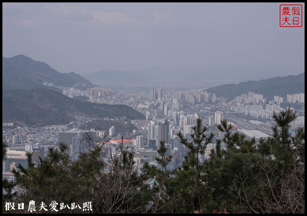 韓國賞櫻自由行|釜山荒嶺山櫻花道．比釜山平地晚一週開的櫻花/交通不便 @假日農夫愛趴趴照