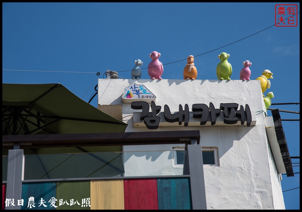 釜山免費景點|甘川洞文化村．韓國版的馬丘比丘/交通方式 @假日農夫愛趴趴照