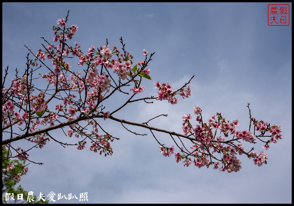 桃園小旅行|媽媽桃的故鄉砂崙子部落×巴陵古道生態園區×納桑麻谷餐廳×爺亨部落 @假日農夫愛趴趴照