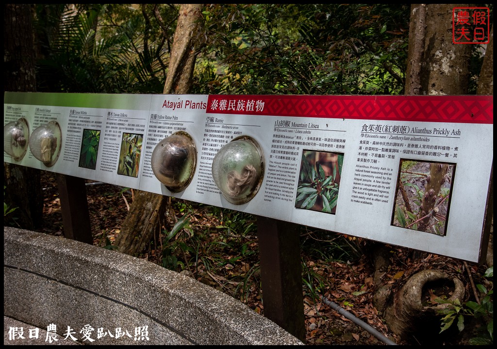 桃園小旅行|媽媽桃的故鄉砂崙子部落×巴陵古道生態園區×納桑麻谷餐廳×爺亨部落 @假日農夫愛趴趴照