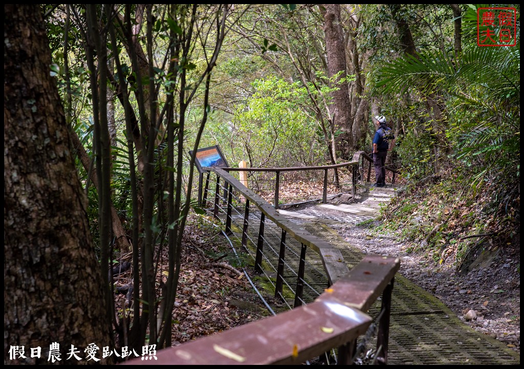 桃園小旅行|媽媽桃的故鄉砂崙子部落×巴陵古道生態園區×納桑麻谷餐廳×爺亨部落 @假日農夫愛趴趴照