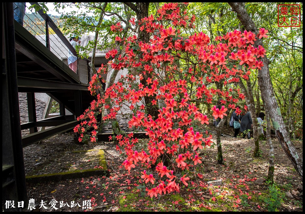 桃園小旅行|媽媽桃的故鄉砂崙子部落×巴陵古道生態園區×納桑麻谷餐廳×爺亨部落 @假日農夫愛趴趴照