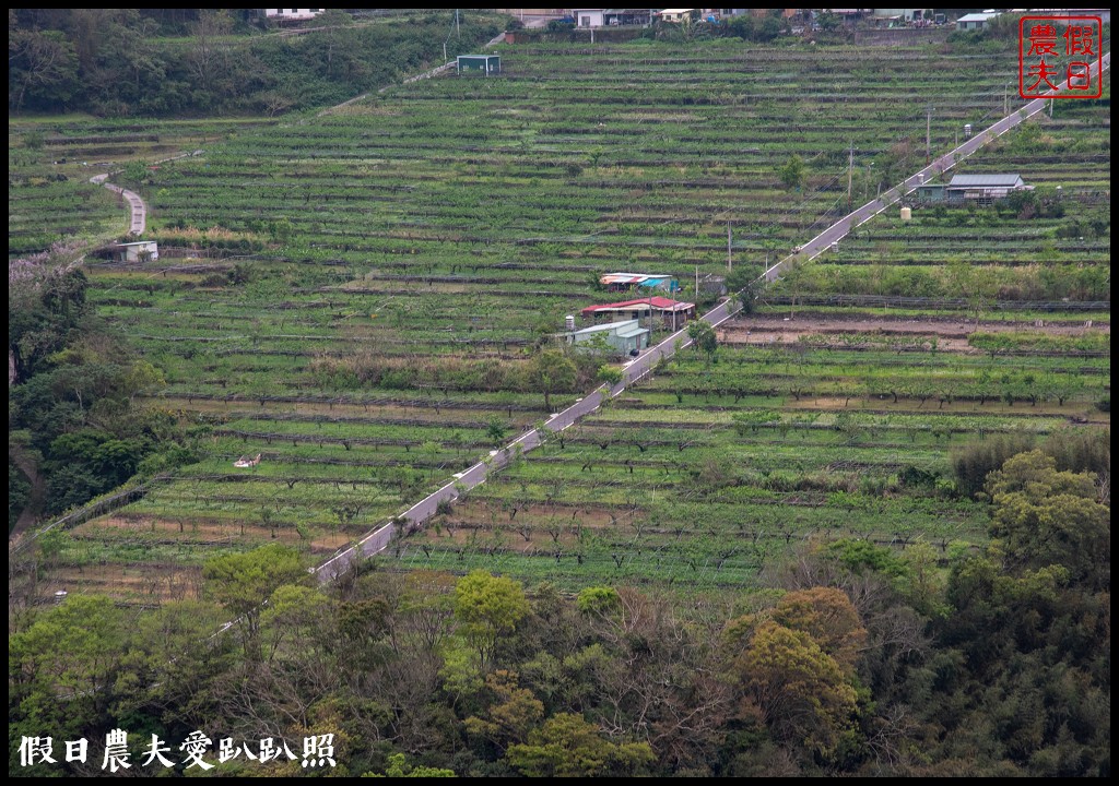 桃園小旅行|媽媽桃的故鄉砂崙子部落×巴陵古道生態園區×納桑麻谷餐廳×爺亨部落 @假日農夫愛趴趴照