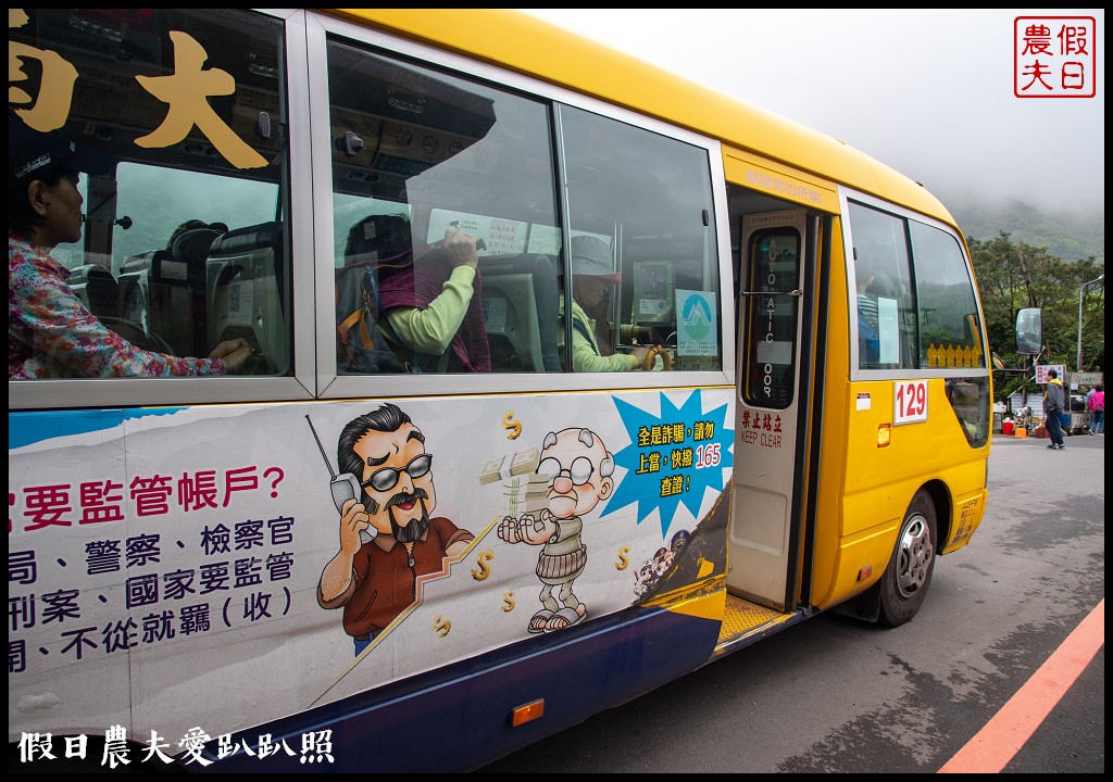 台北景點|陽明山竹子湖海芋季．交通管制、公車、賞花資訊 @假日農夫愛趴趴照