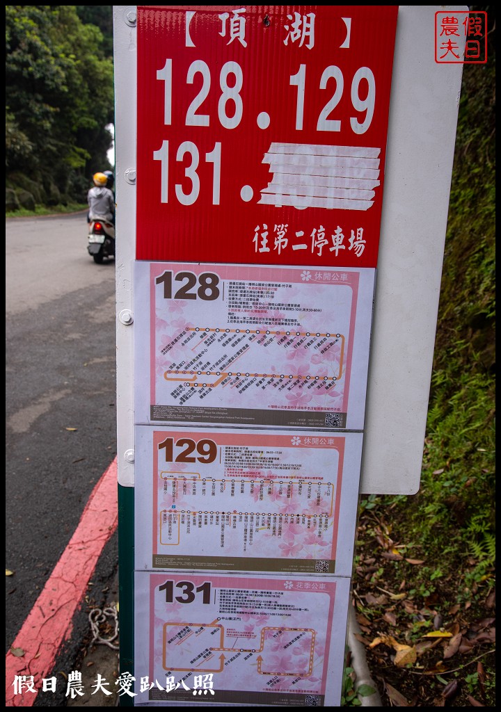 台北景點|陽明山竹子湖海芋季．交通管制、公車、賞花資訊 @假日農夫愛趴趴照