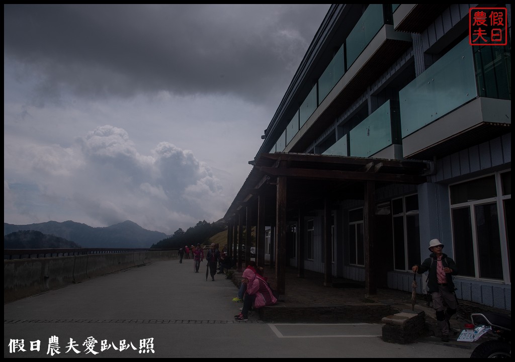 南投旅遊|合歡山東峰玉山杜鵑暖冬提前盛開．賞花請避開假日人潮 @假日農夫愛趴趴照