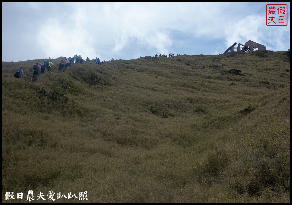 南投旅遊|合歡山東峰玉山杜鵑暖冬提前盛開．賞花請避開假日人潮 @假日農夫愛趴趴照