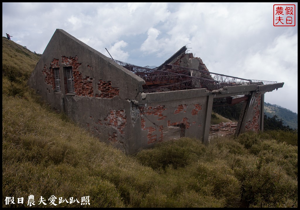 南投旅遊|合歡山東峰玉山杜鵑暖冬提前盛開．賞花請避開假日人潮 @假日農夫愛趴趴照