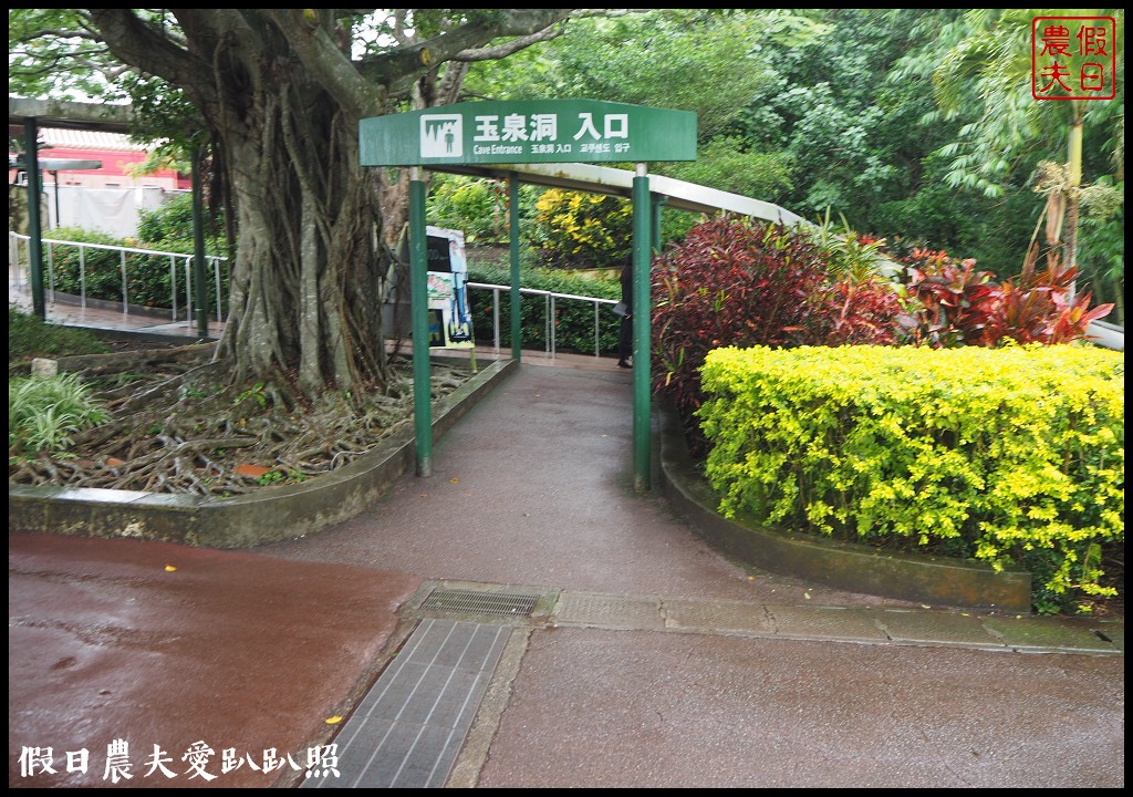 沖繩景點|世界文化王國玉泉洞．日本國內最大的鐘乳石洞/門票/交通 @假日農夫愛趴趴照